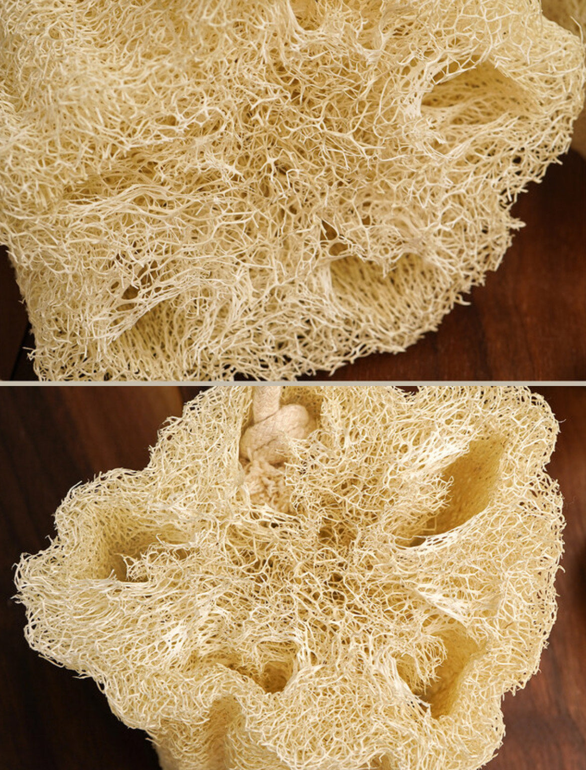 Sponge loofah for shower