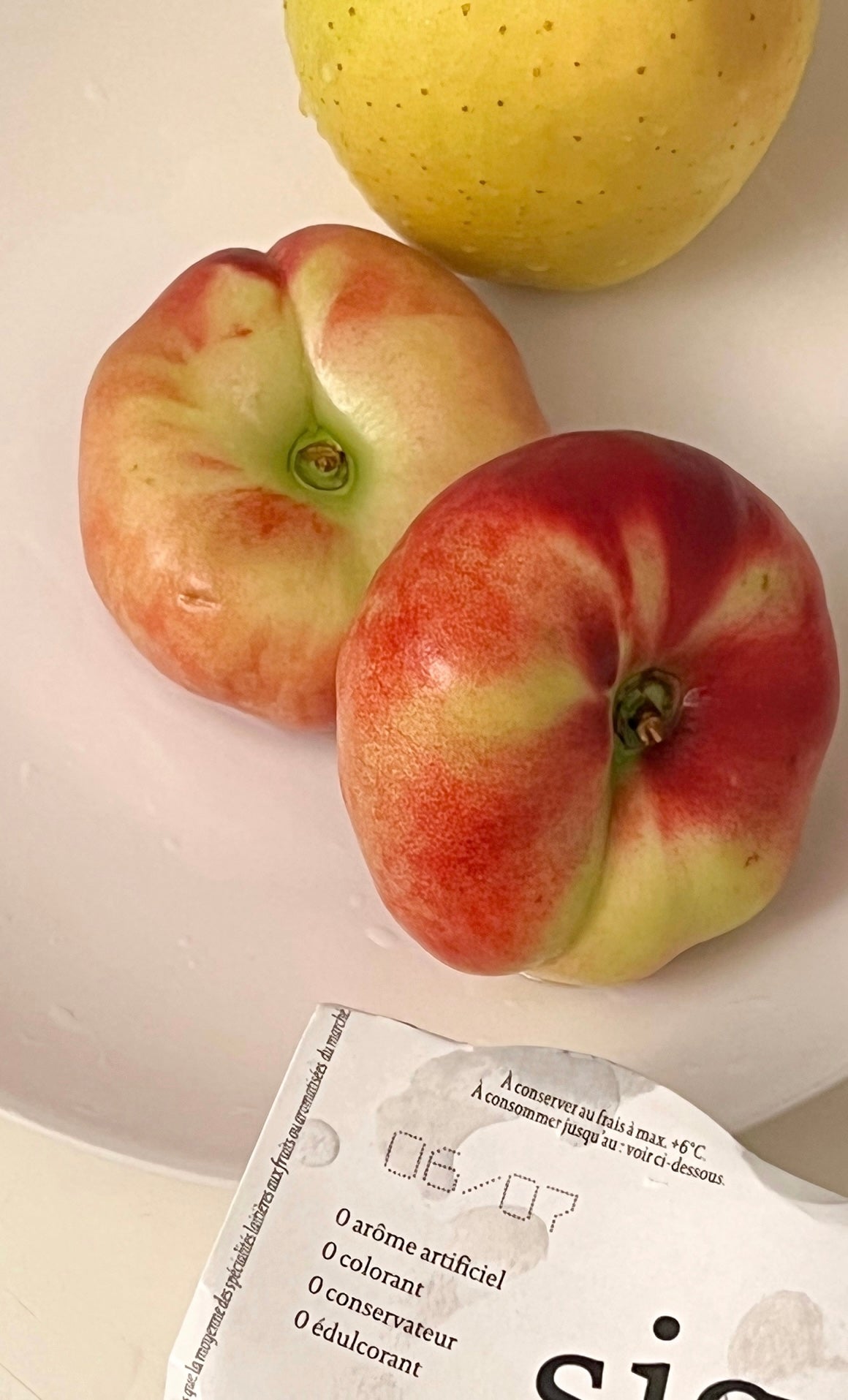 [Artisan] Flat peach/ Donut peach - object