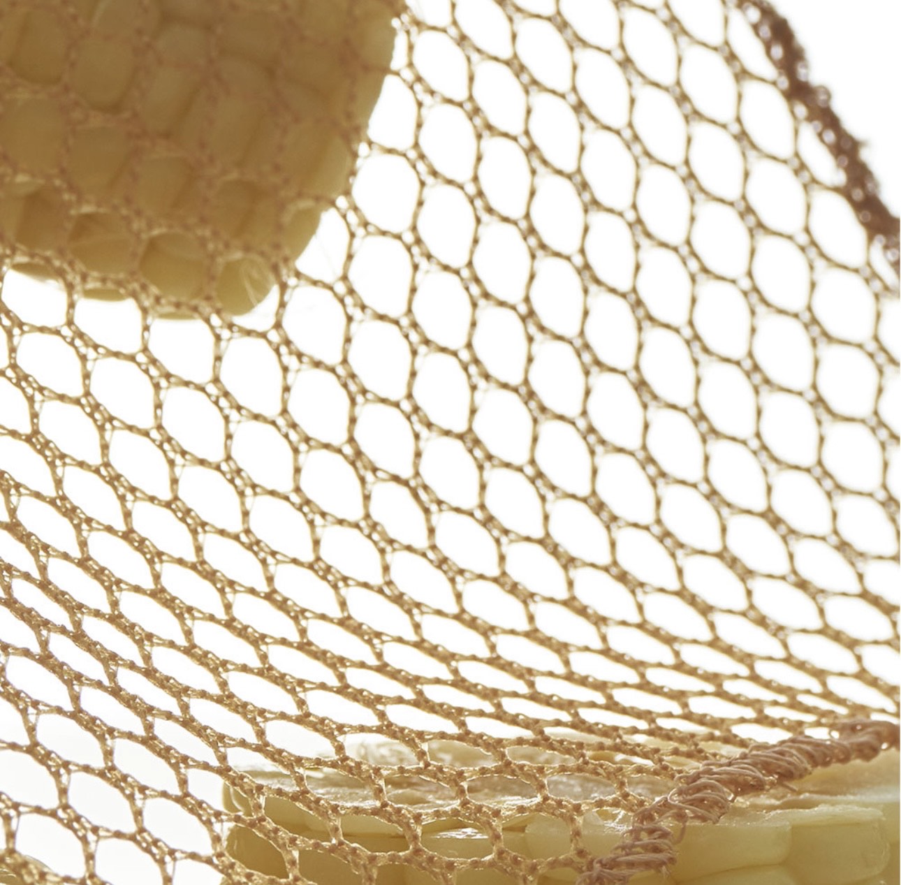 <biodegradation> Mesh scrubber</biodegradation>