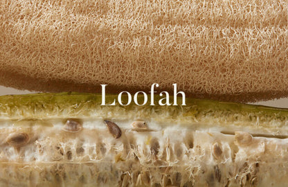 Sponge loofah for shower