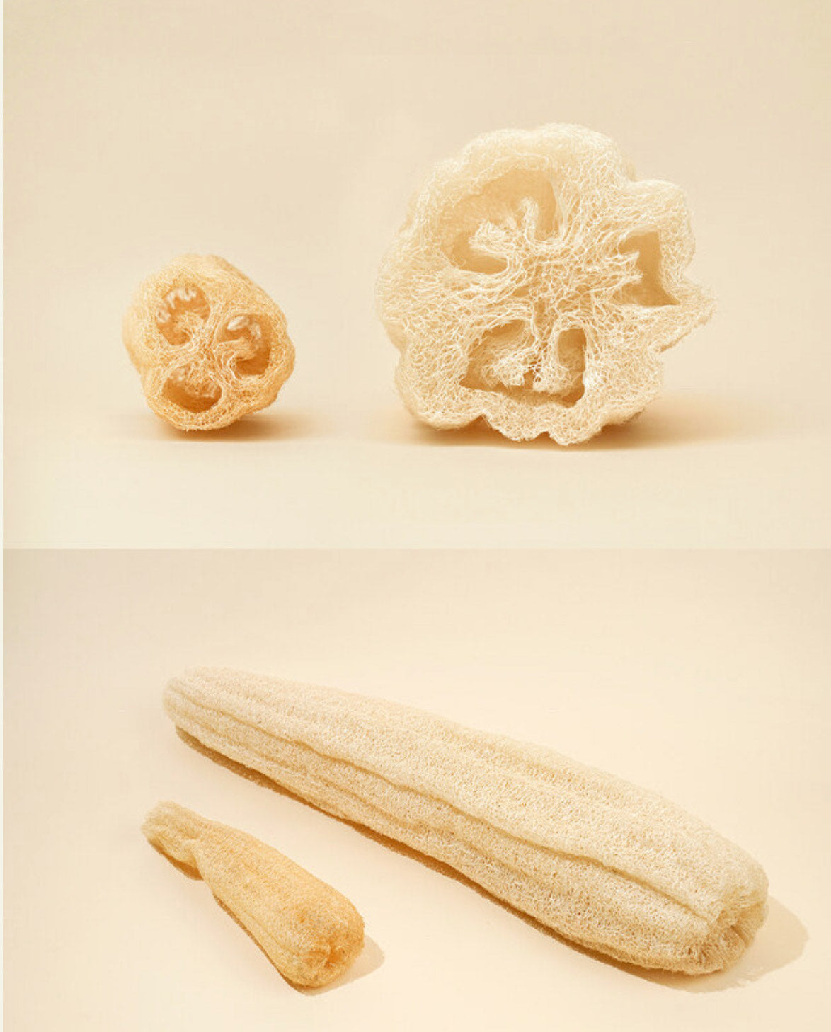 Sponge loofah for shower