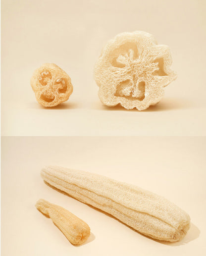 Sponge loofah for shower