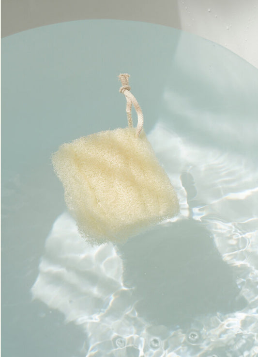 Sponge loofah for shower