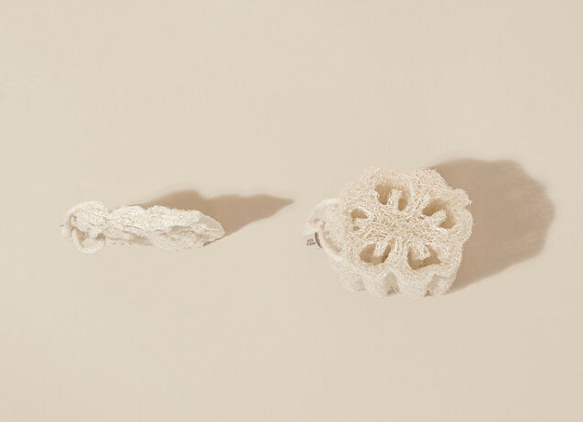 Sponge loofah for shower