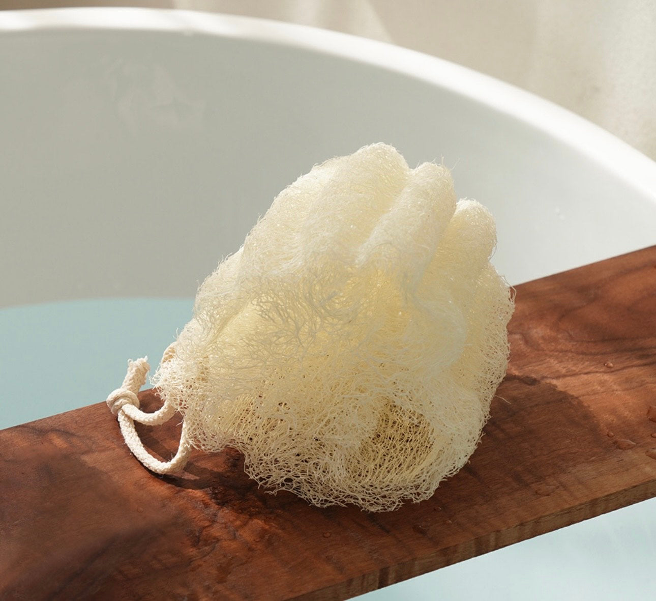 Sponge loofah for shower