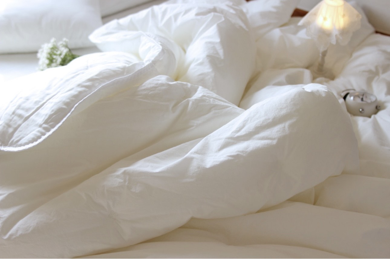 Premium High Density Pure Cotton Modal Blanket All-Season Duvet