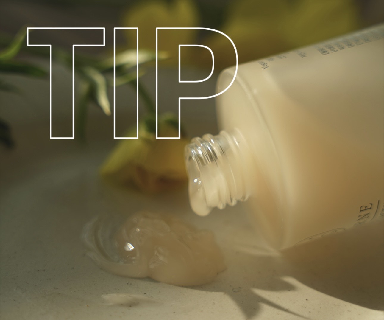 Vegan Cactus Deep Moisture Ampoule