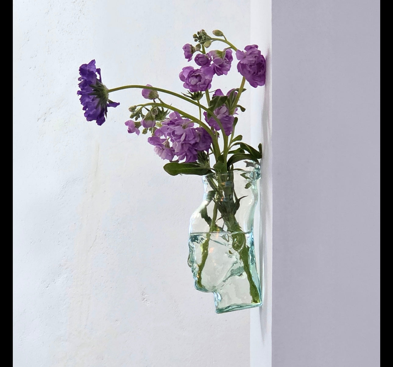 [La Souffleri] Simon Wall-Hanging Vase Transparent (Standable)