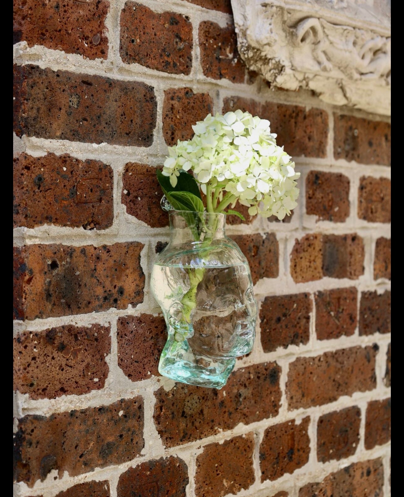 [La Souffleri] Simon Wall-Hanging Vase Transparent (Standable)