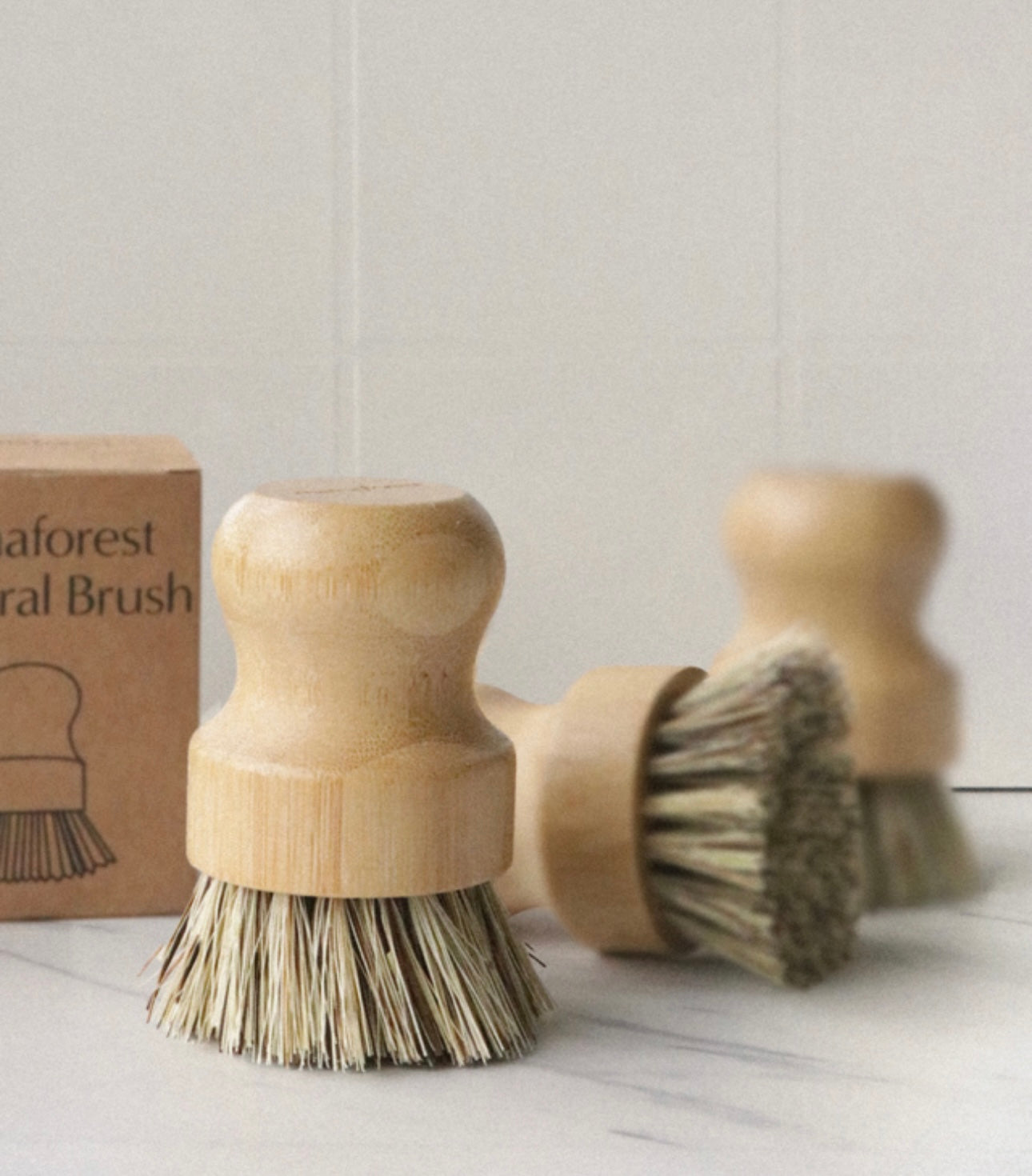 Natural Wood Brush Full Set